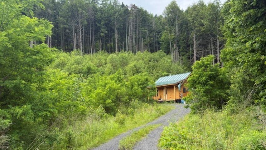 main property photo 6