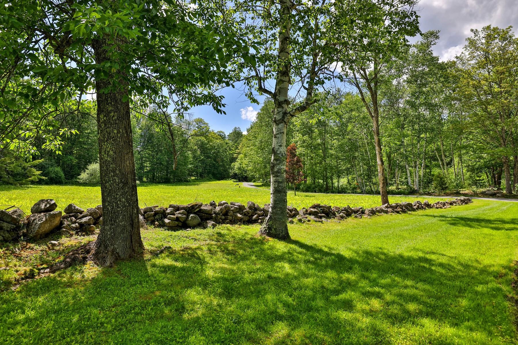 main property photo 42