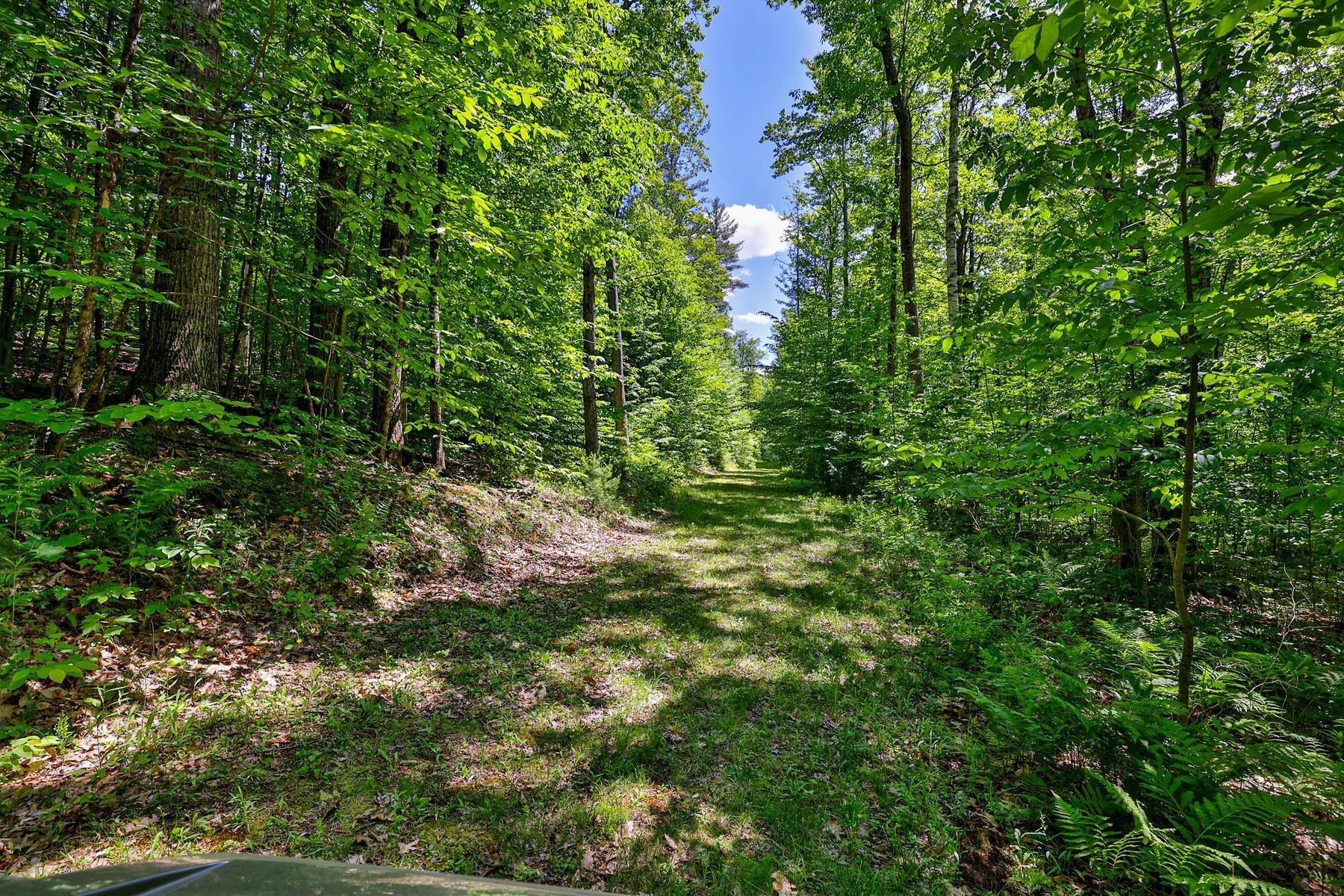main property photo 46