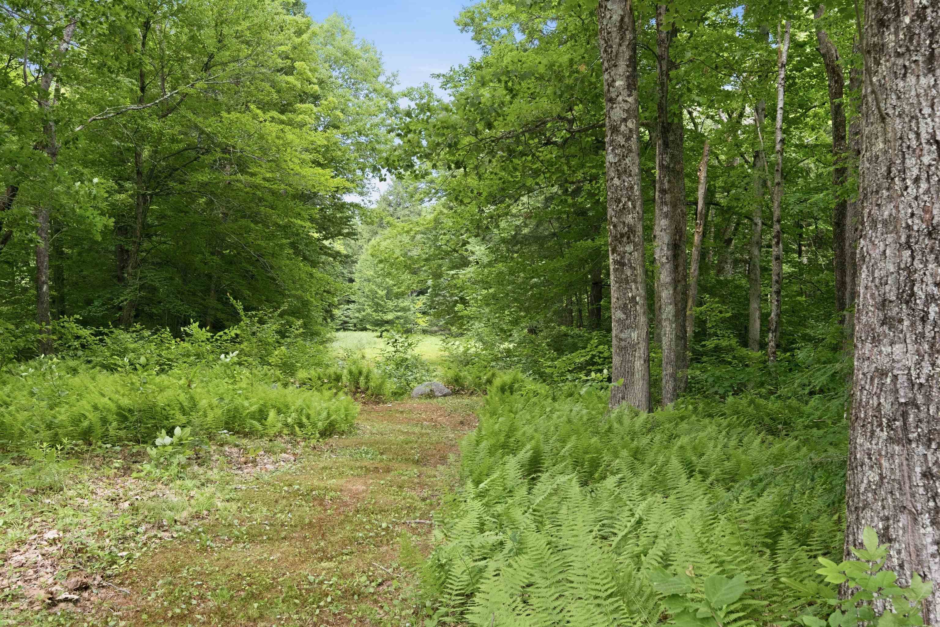 main property photo 52
