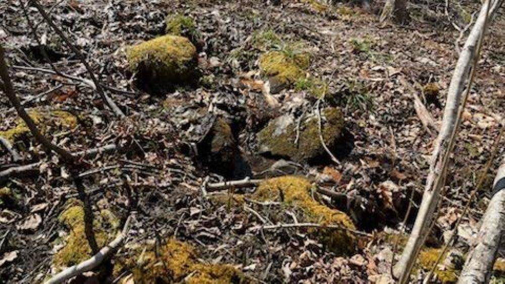 main property photo 14