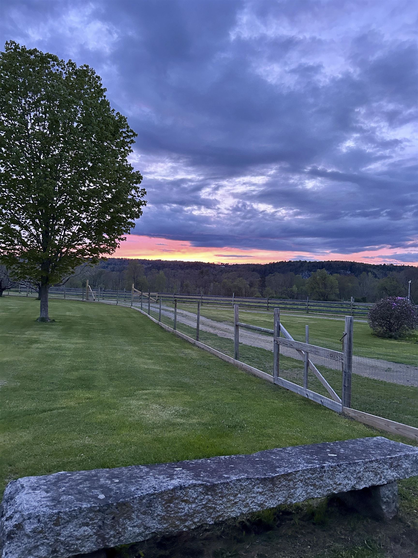 main property photo 48