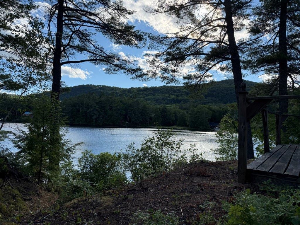 main property photo 43