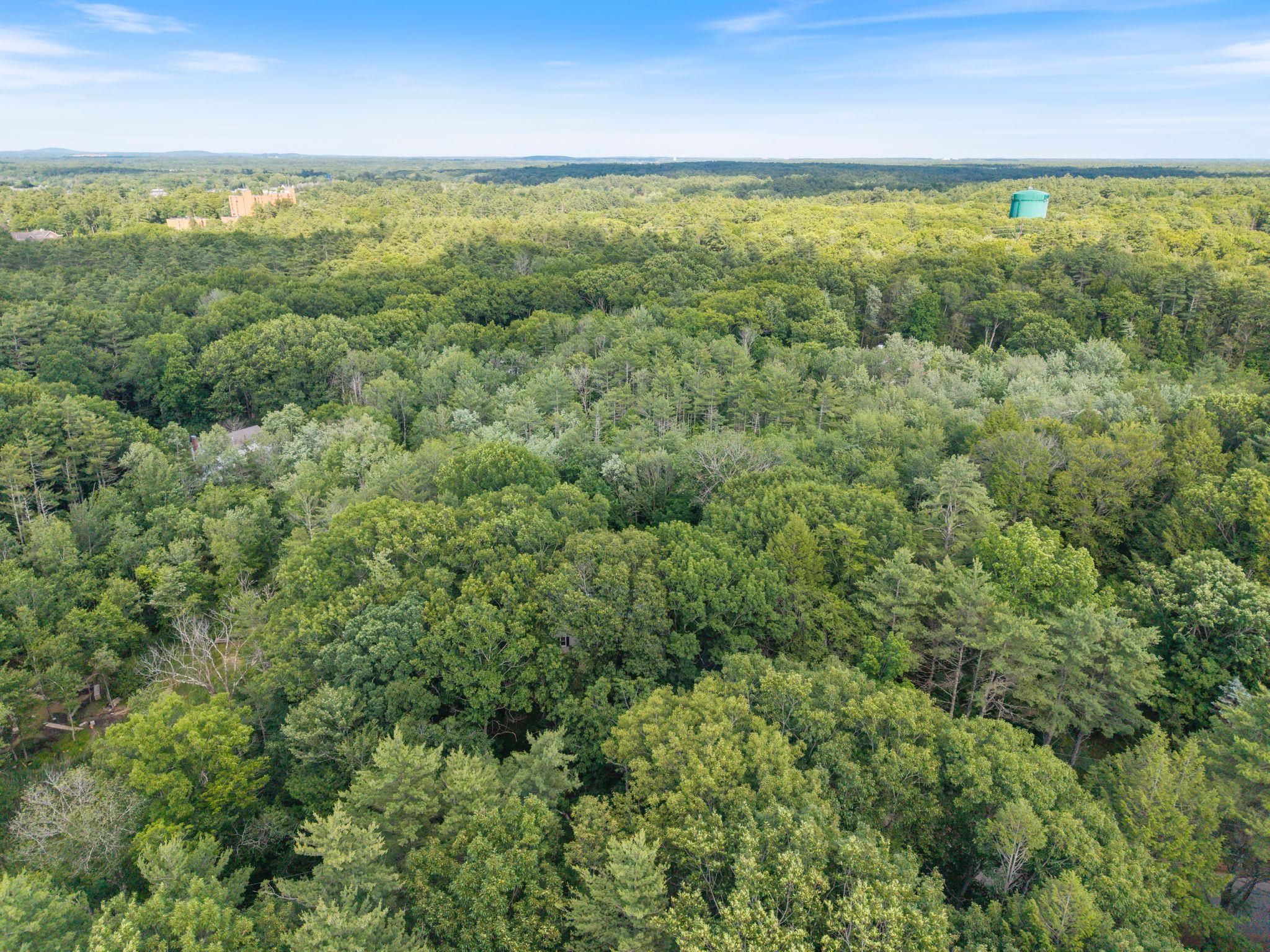main property photo 51