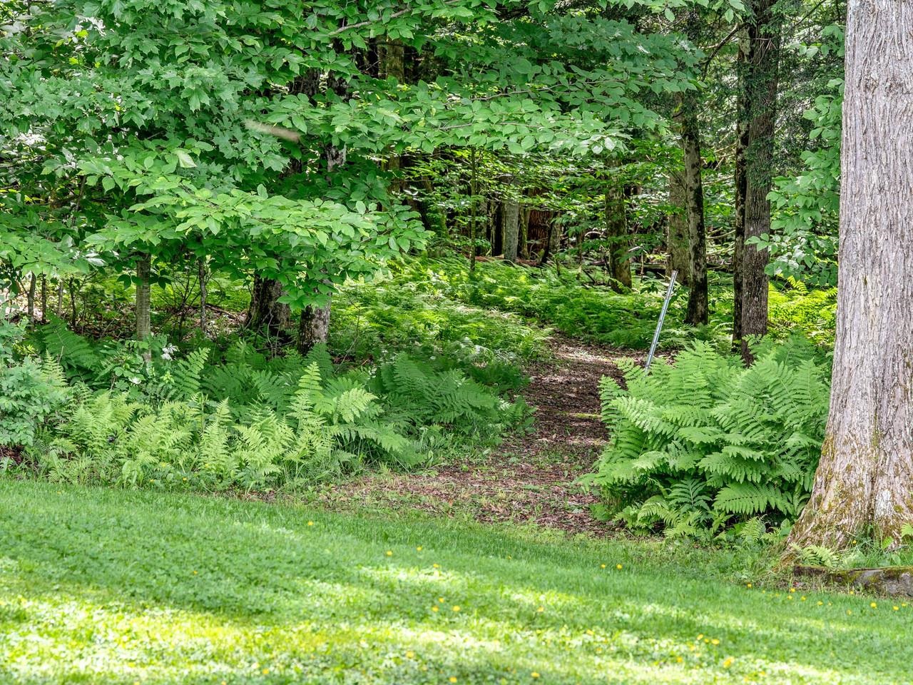 main property photo 48