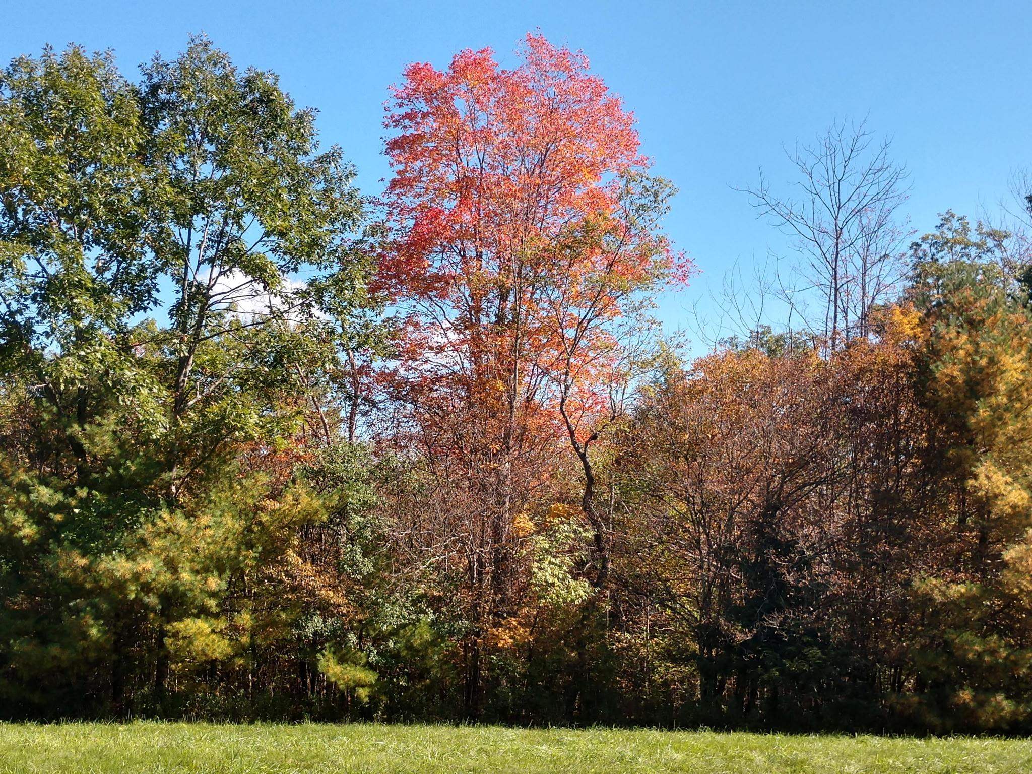 main property photo 32