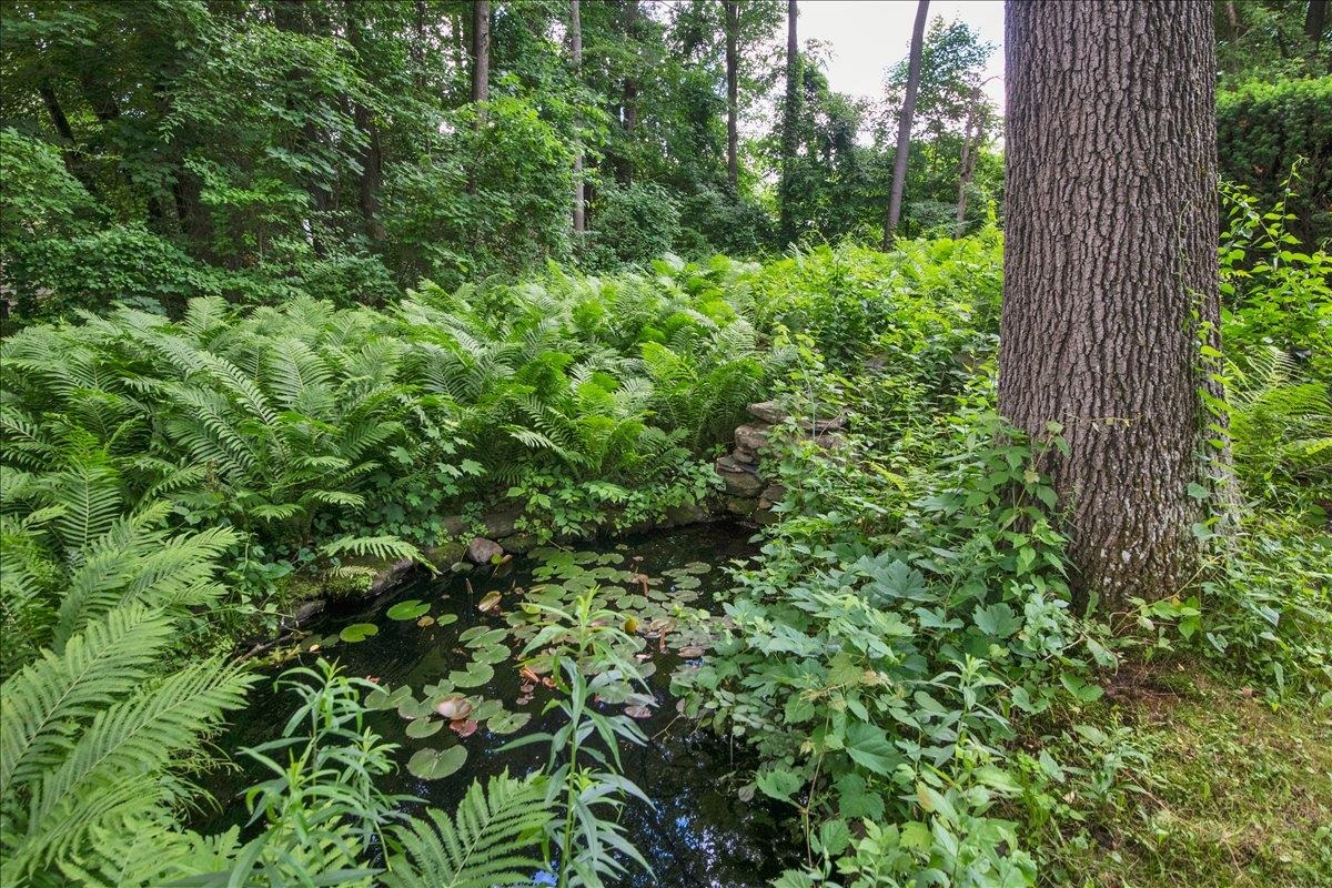 main property photo 59