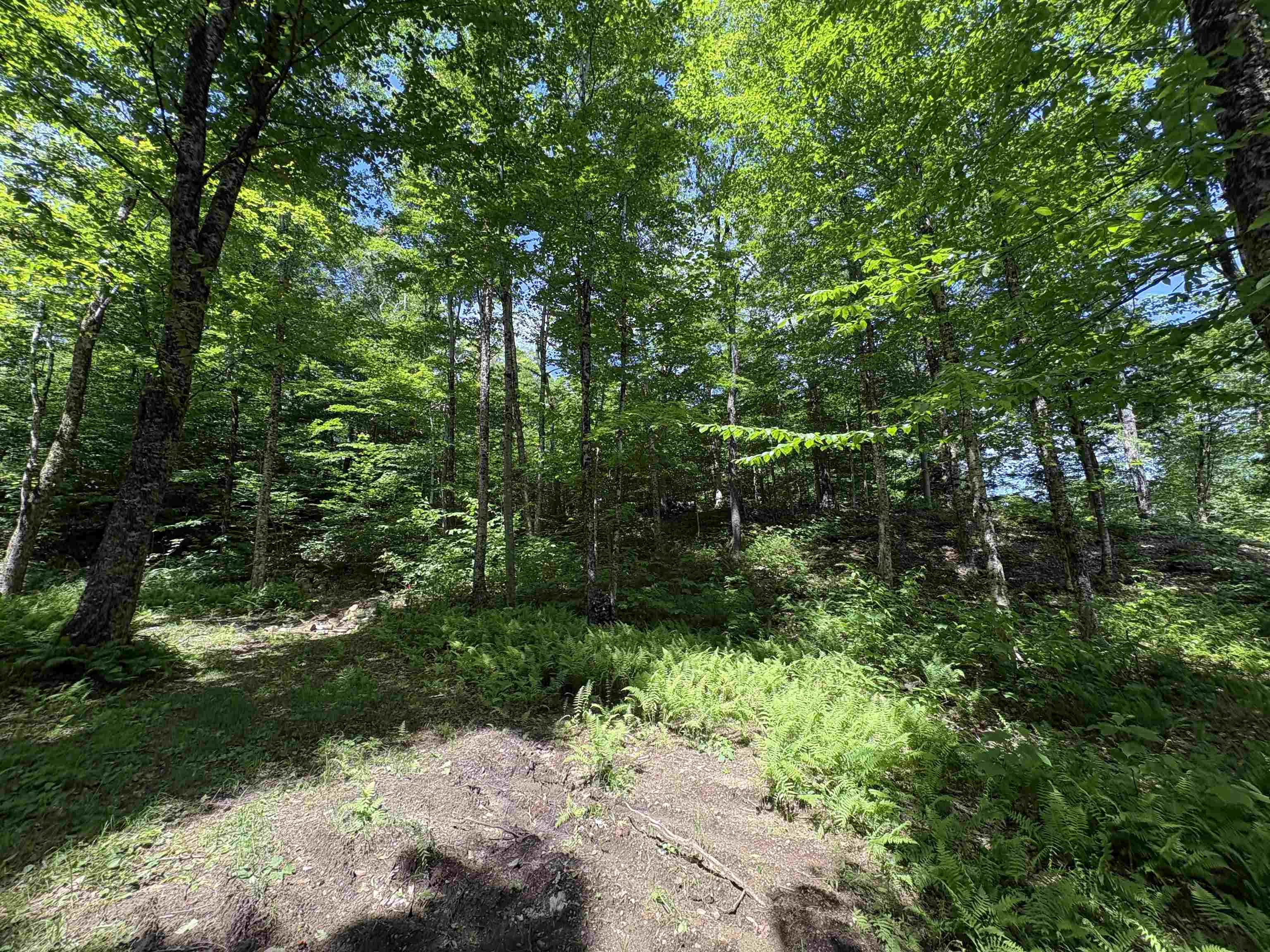 main property photo 10