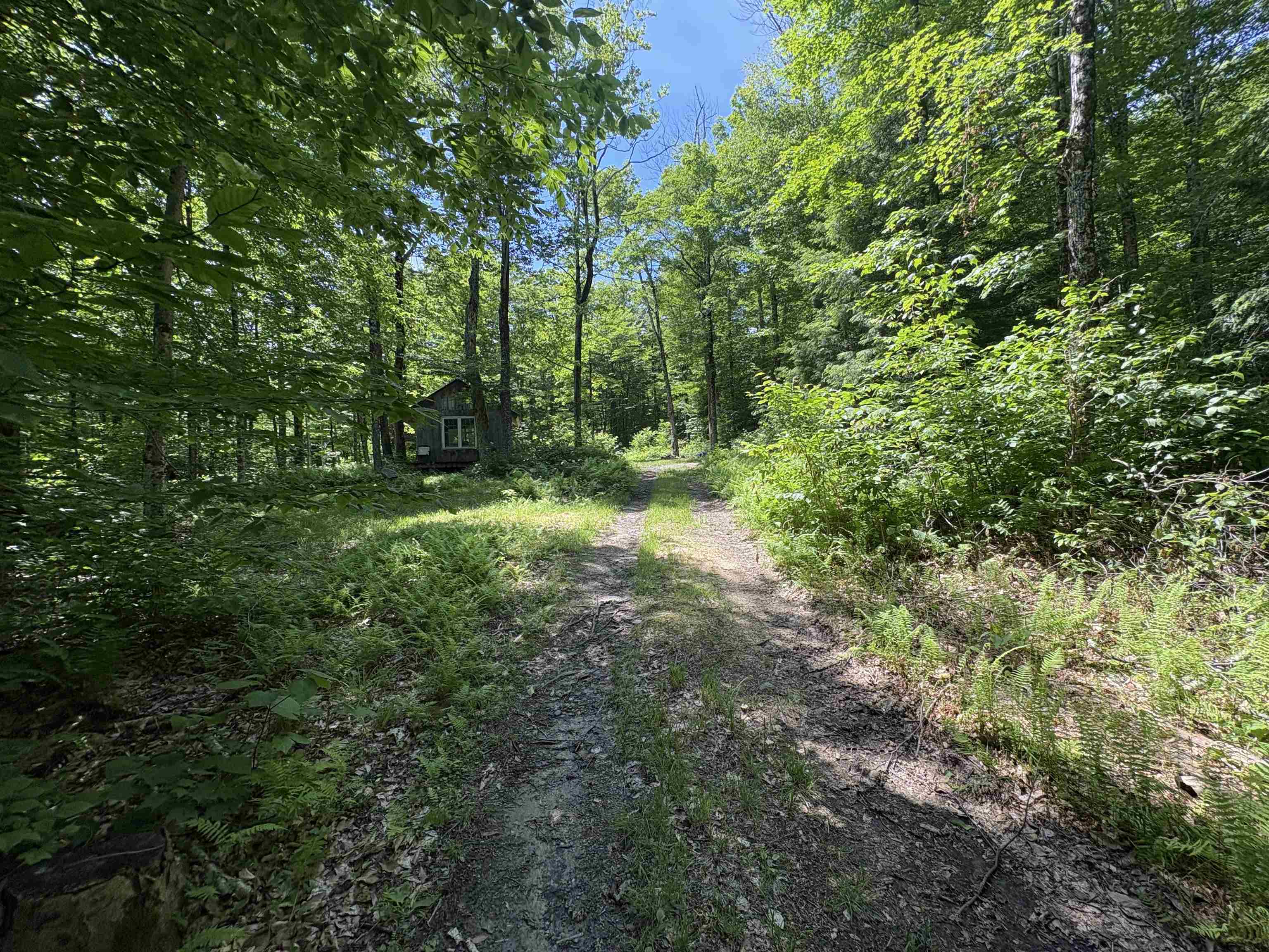 main property photo 13