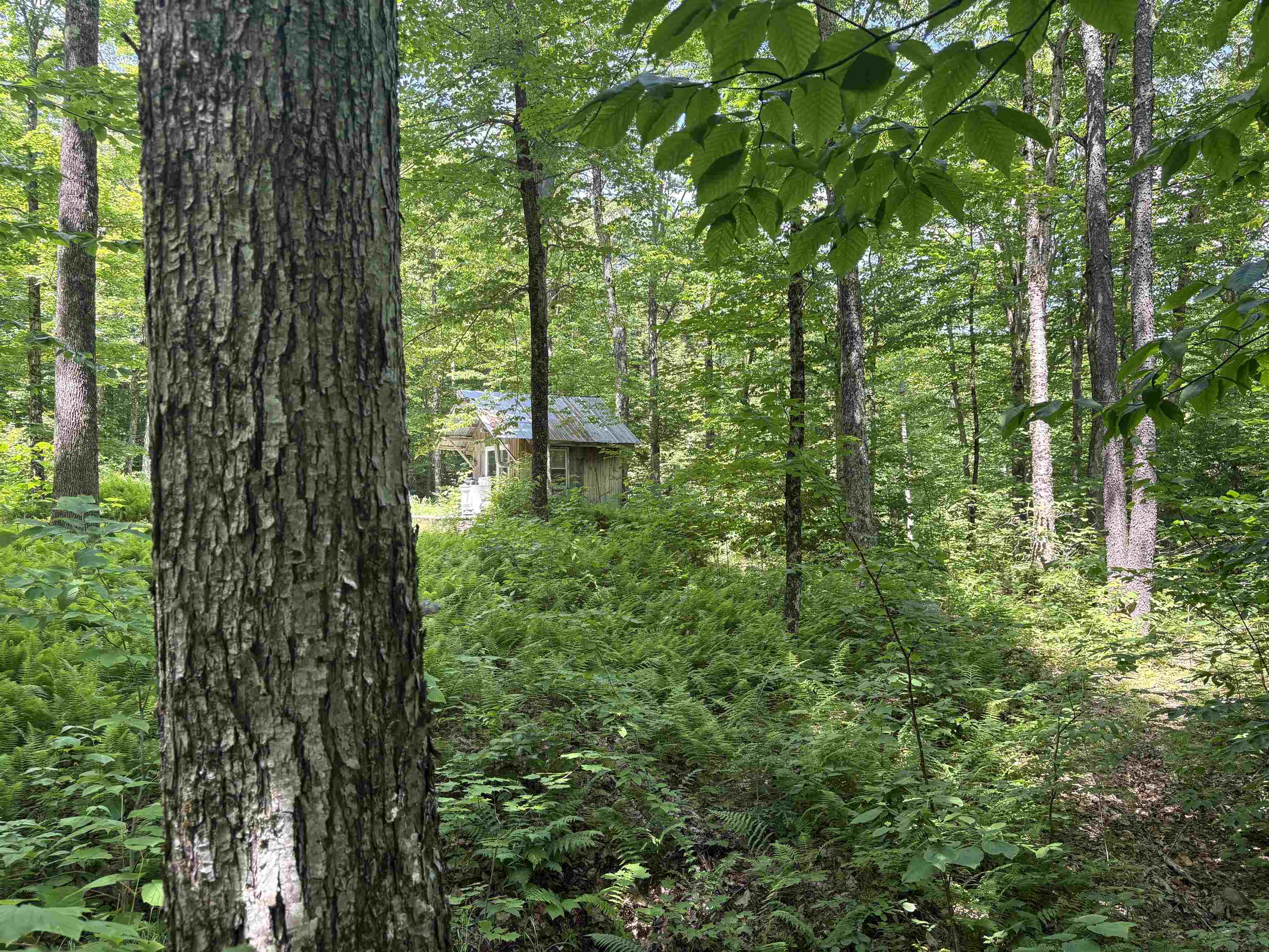 main property photo 15