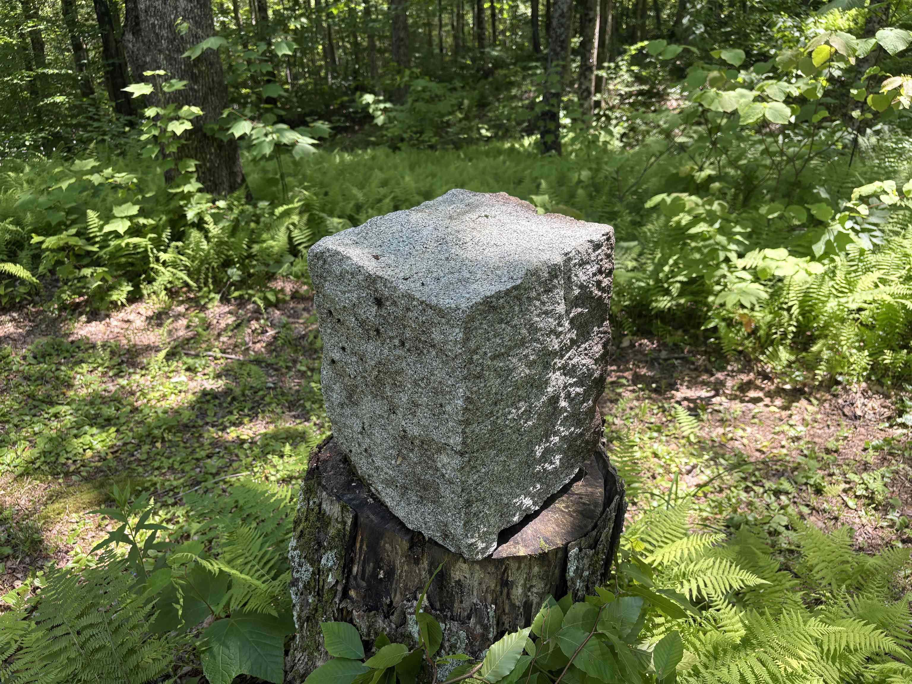 main property photo 22