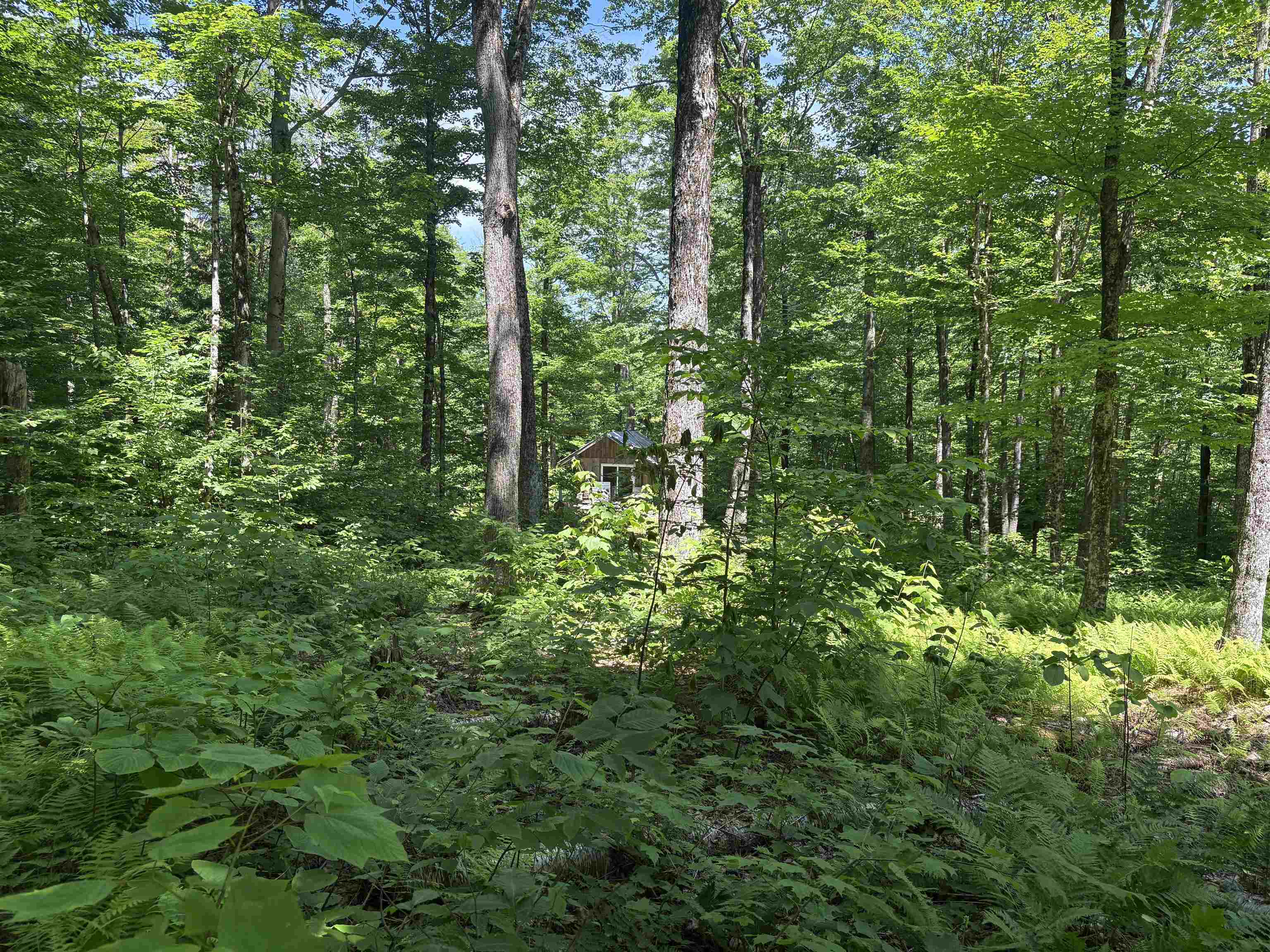 main property photo 24