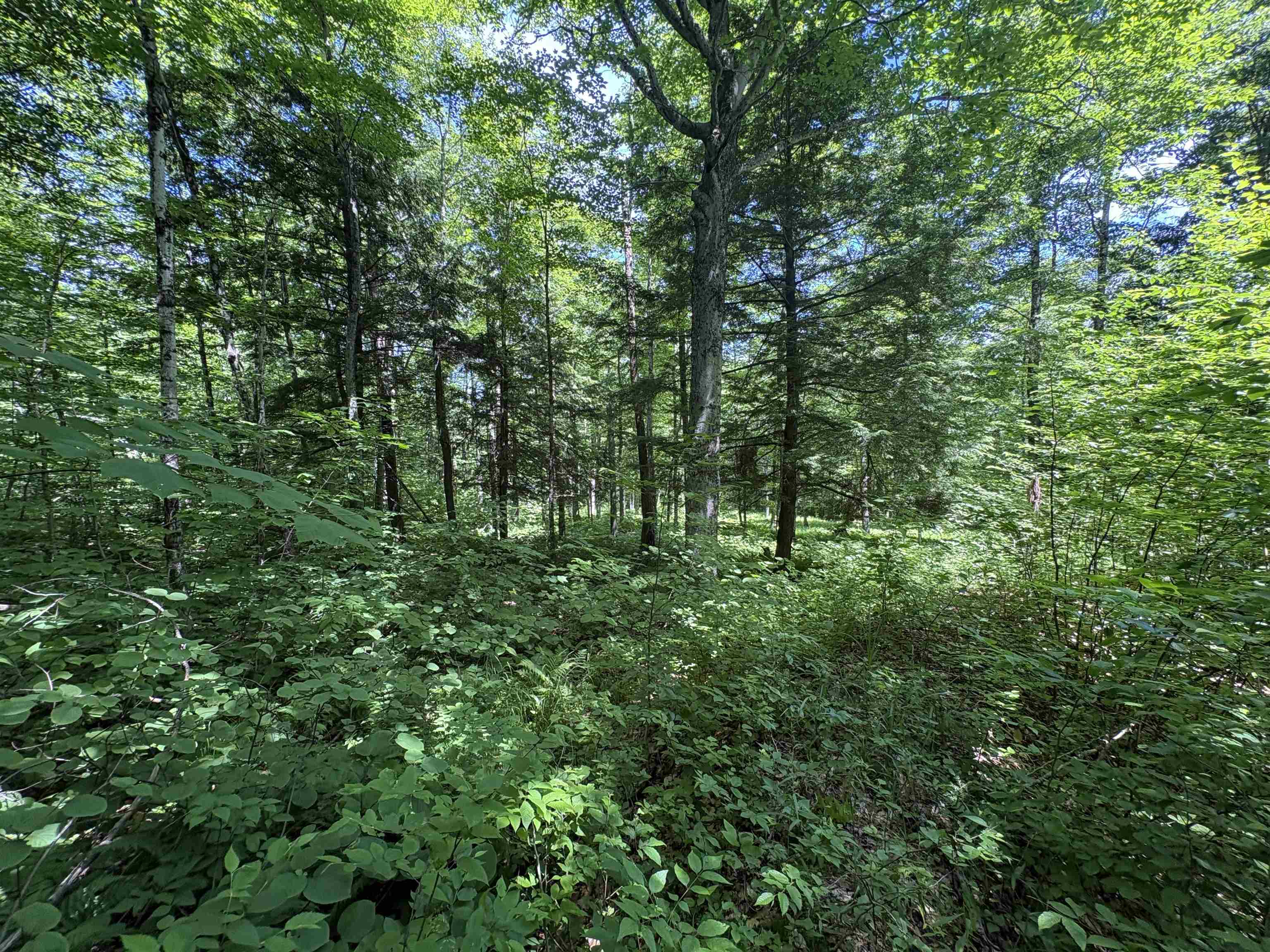 main property photo 26