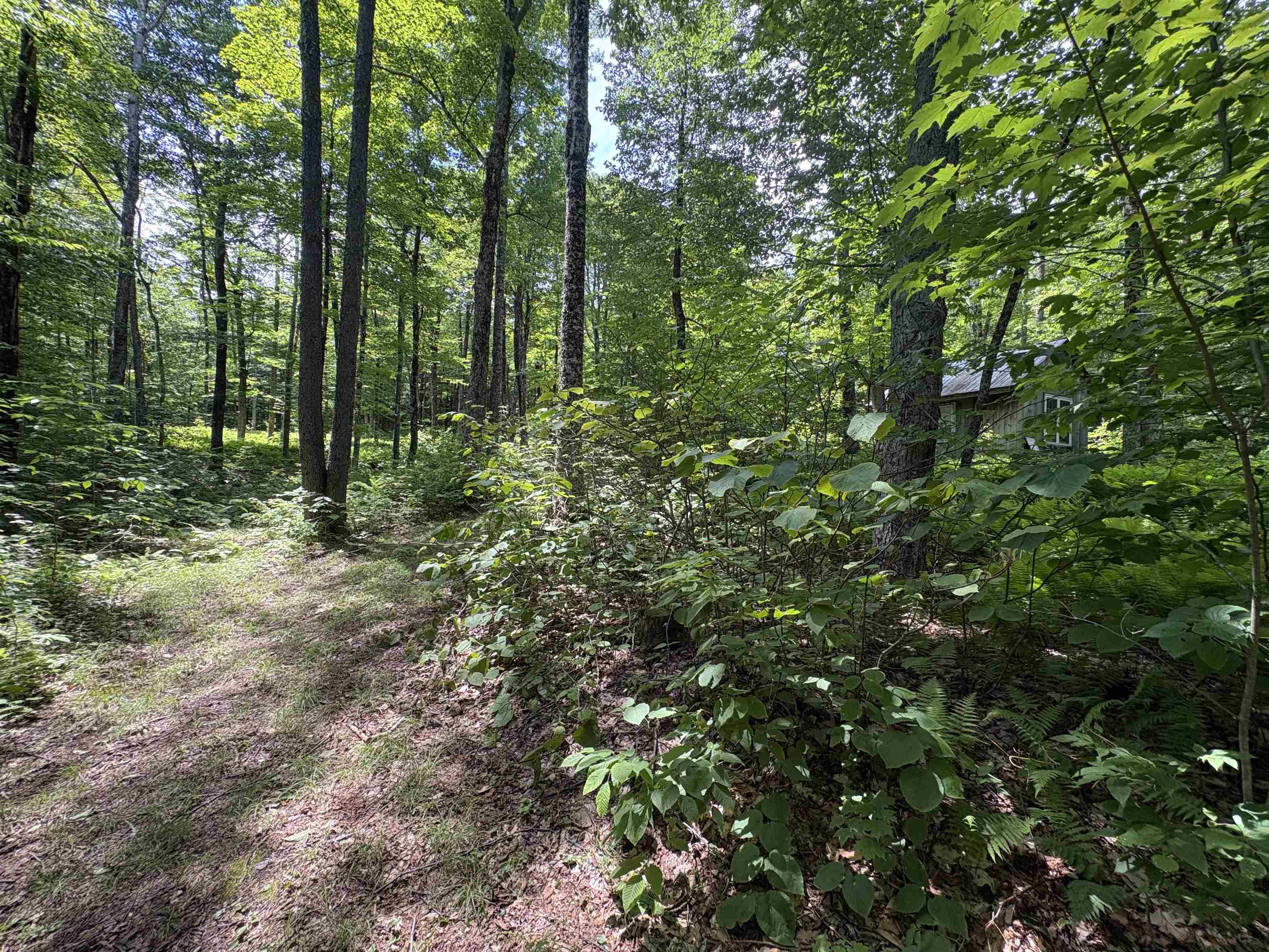 main property photo 31