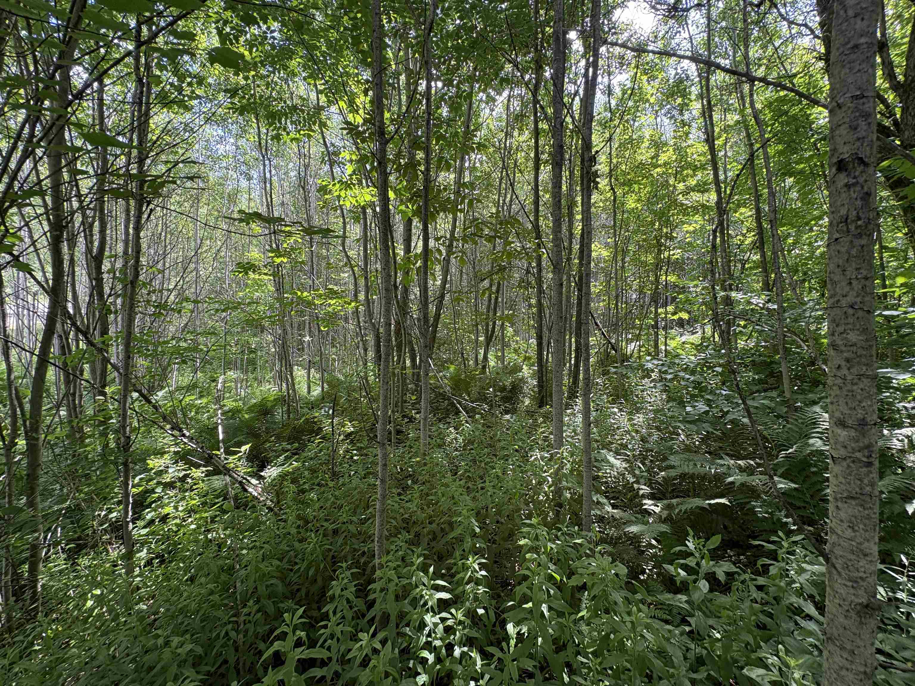 main property photo 30