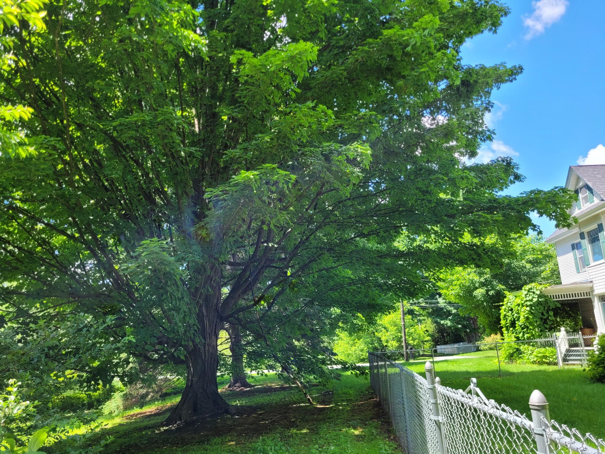 main property photo 42