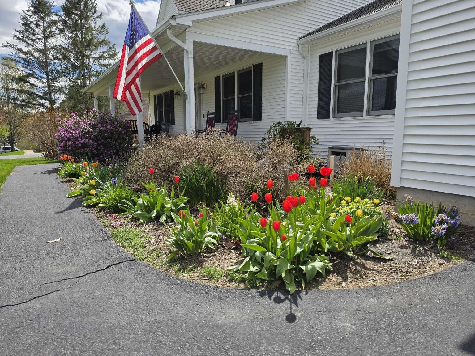 main property photo 42