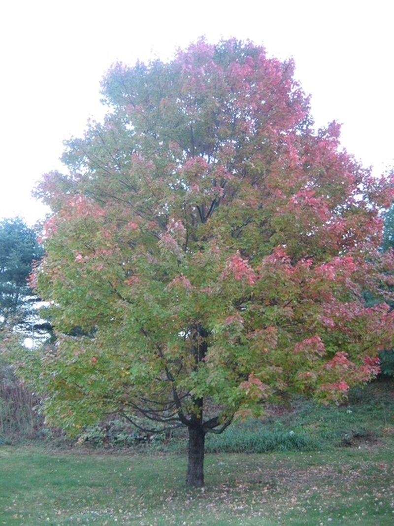 main property photo 35