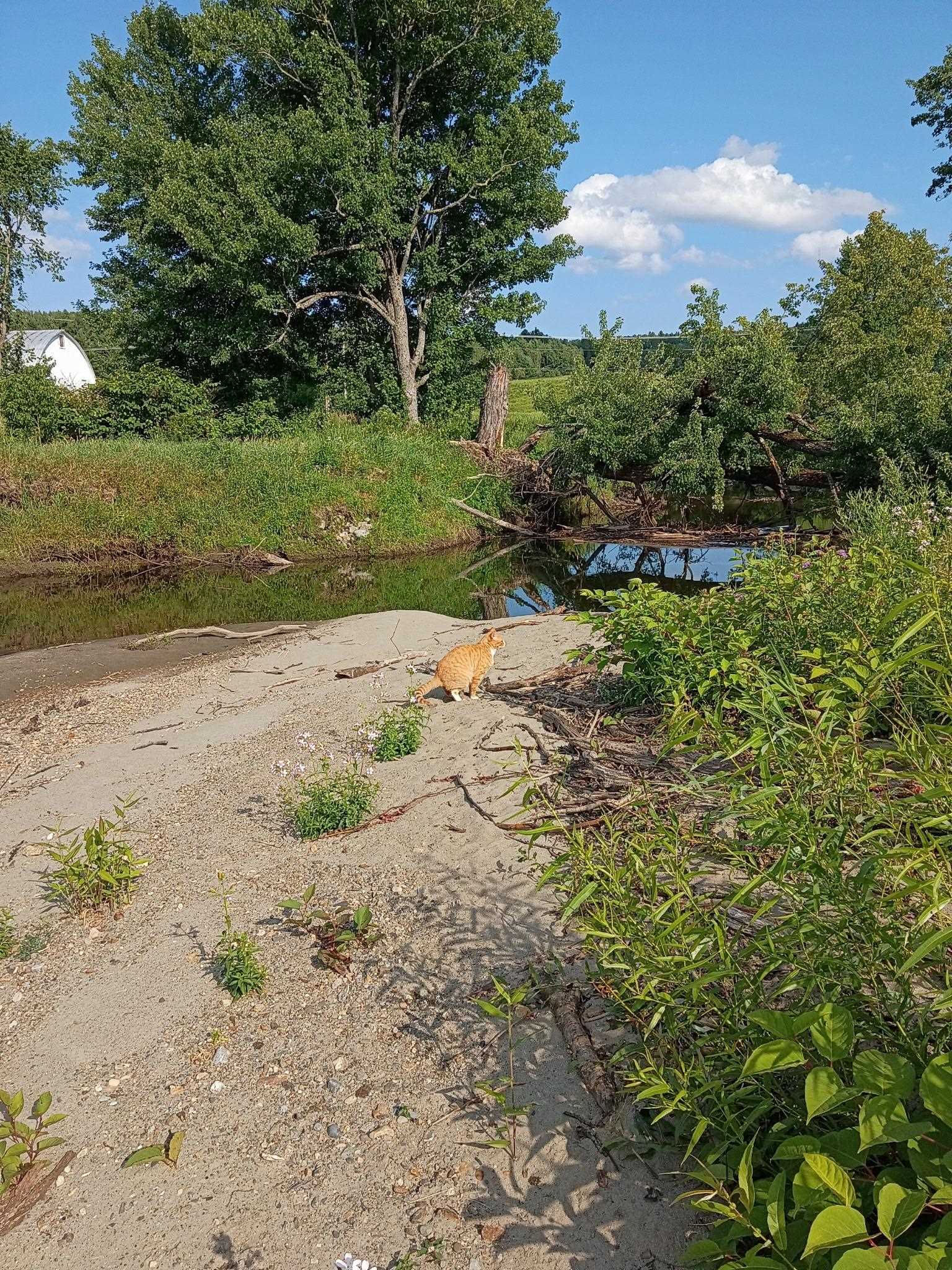 main property photo 25