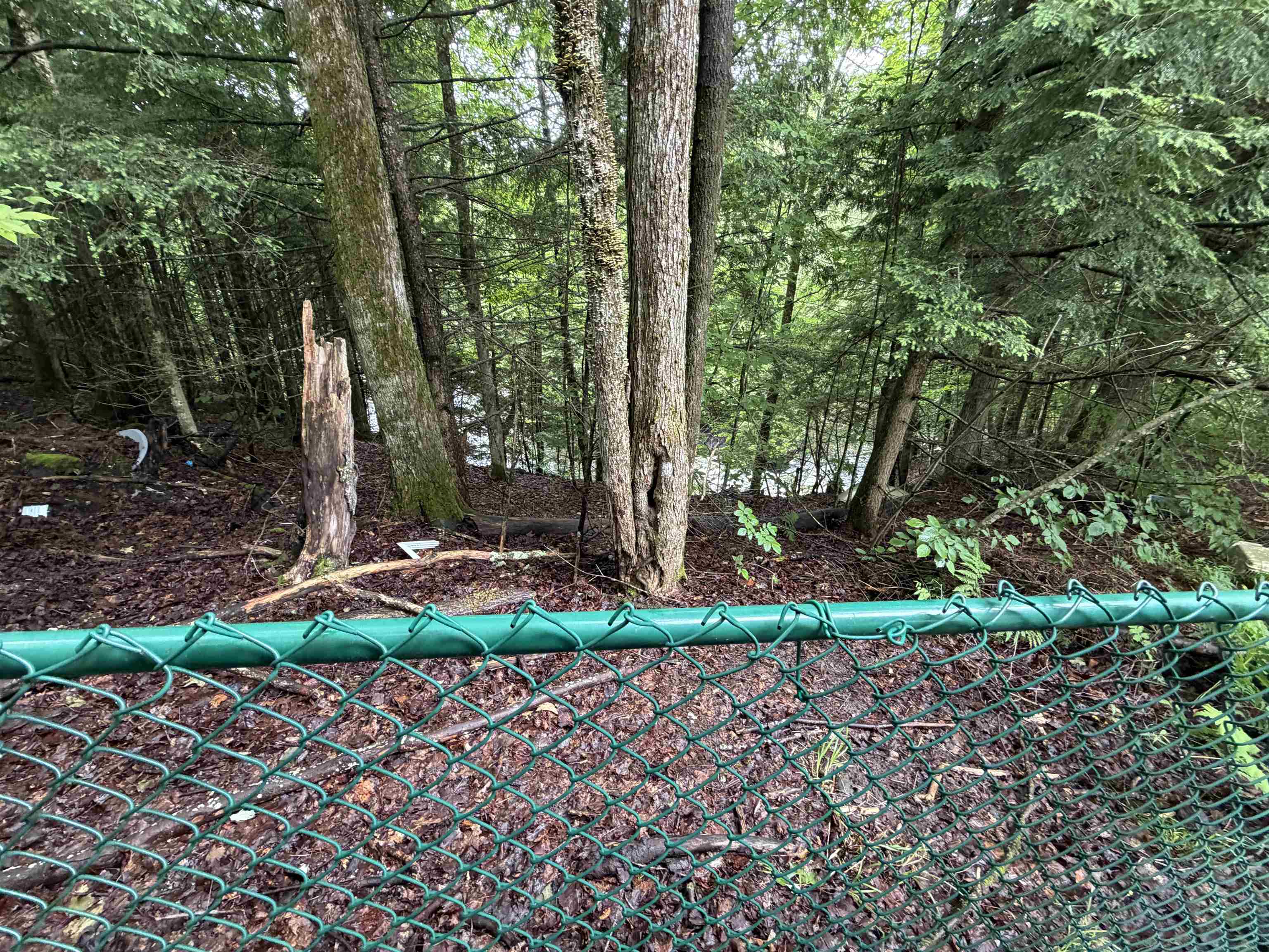 main property photo 22