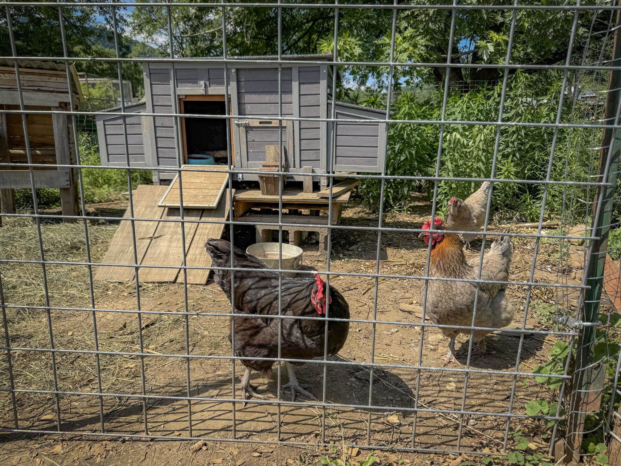 main property photo 27