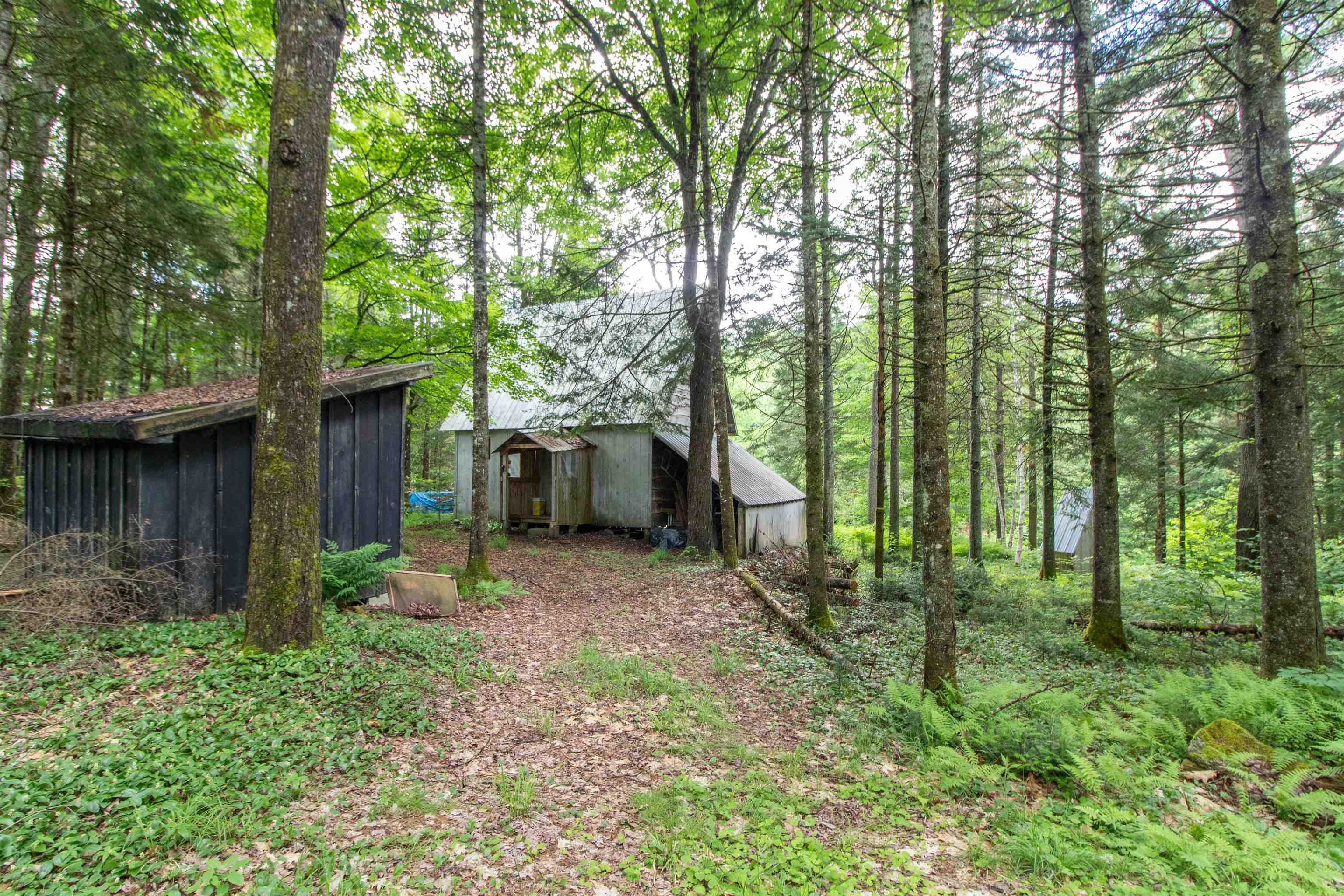 main property photo 17