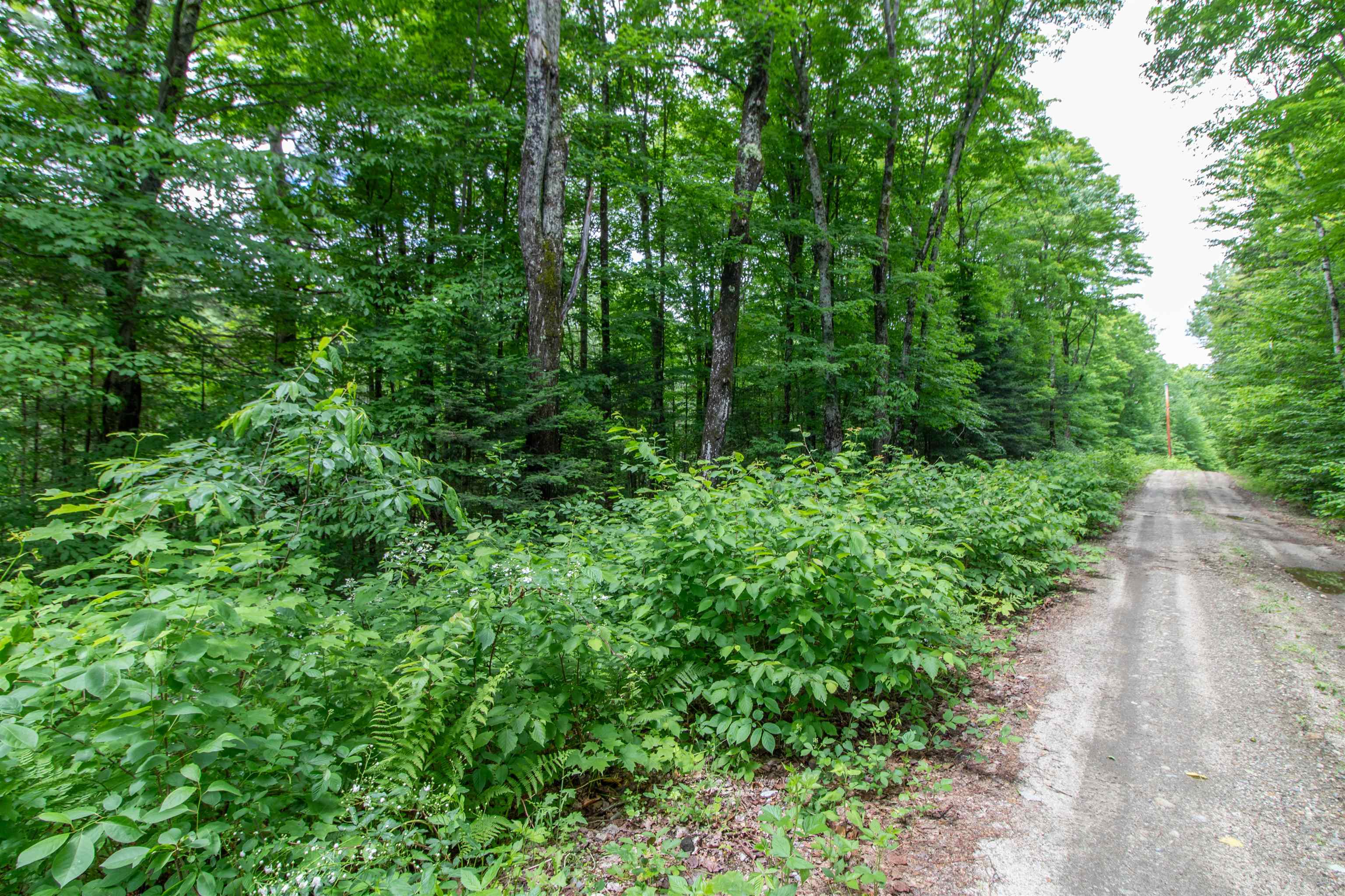 main property photo 18