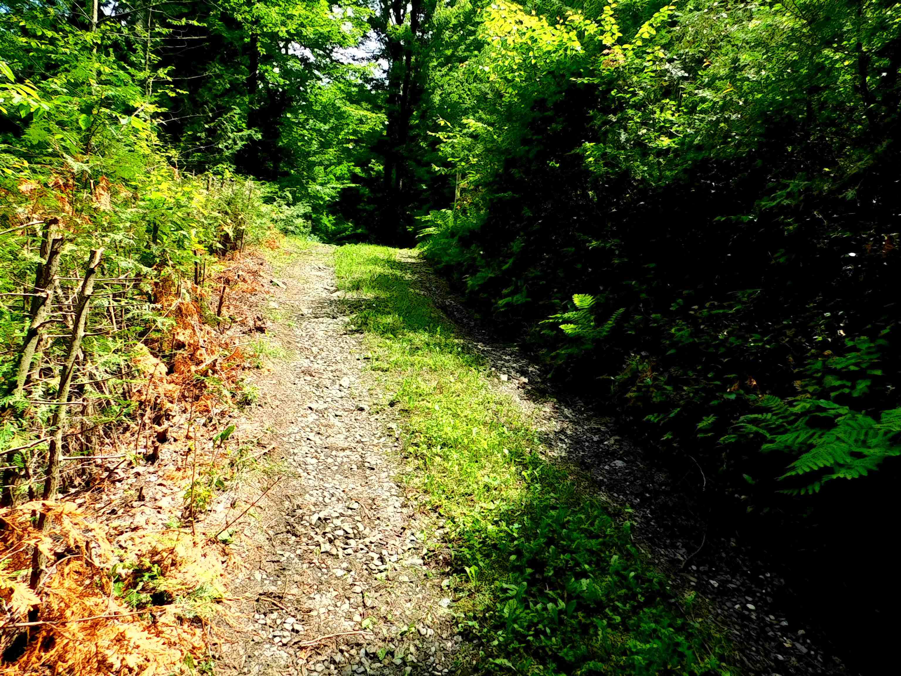 main property photo 25