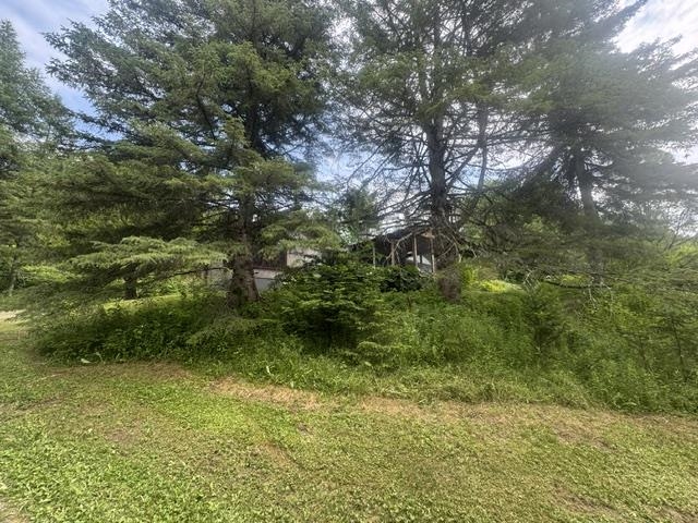 main property photo 46