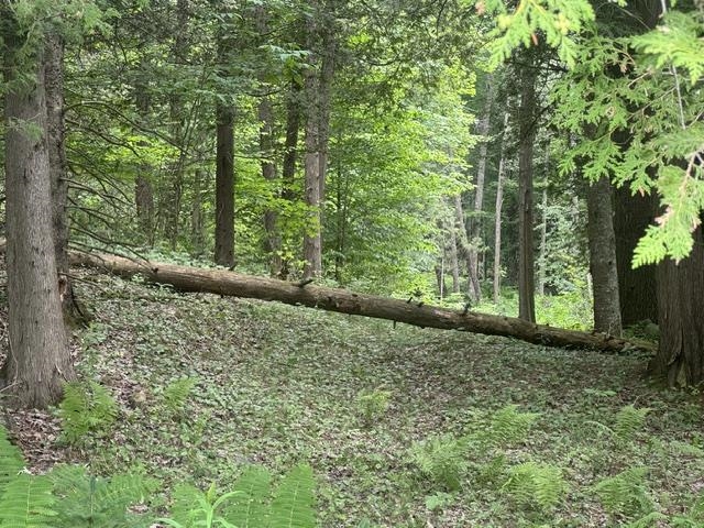 main property photo 50