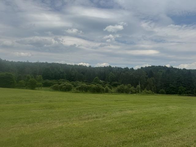 main property photo 53