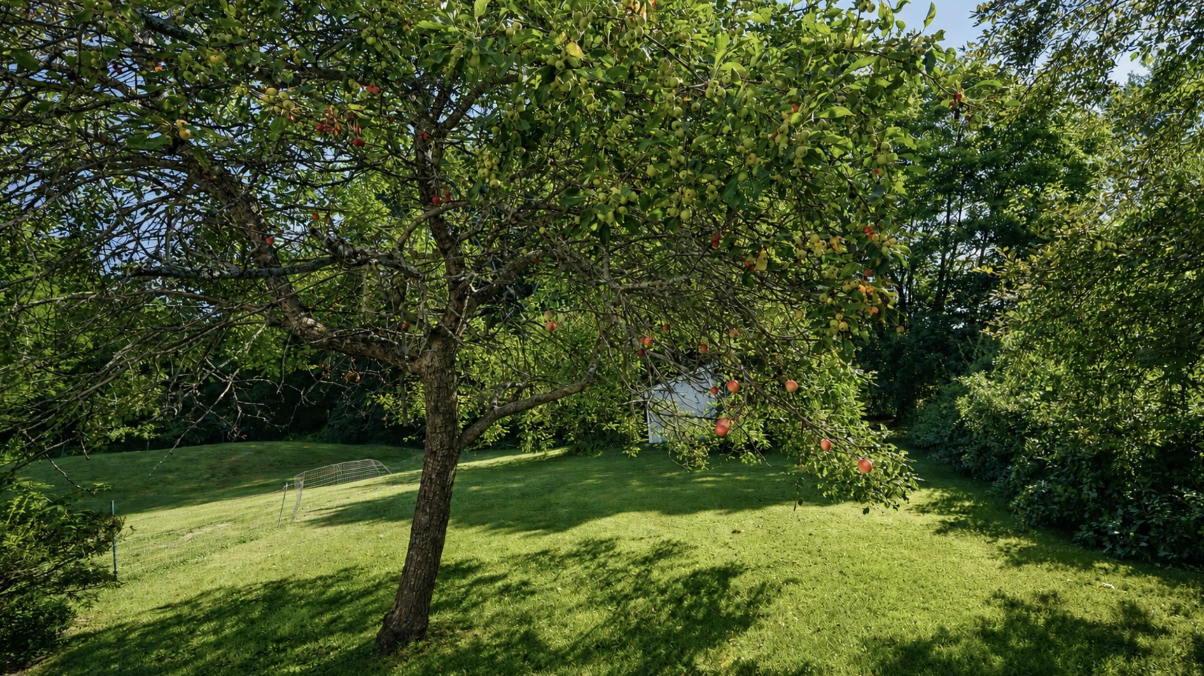 main property photo 35