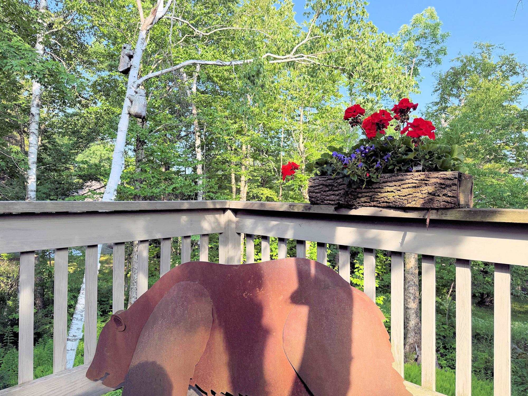 main property photo 52