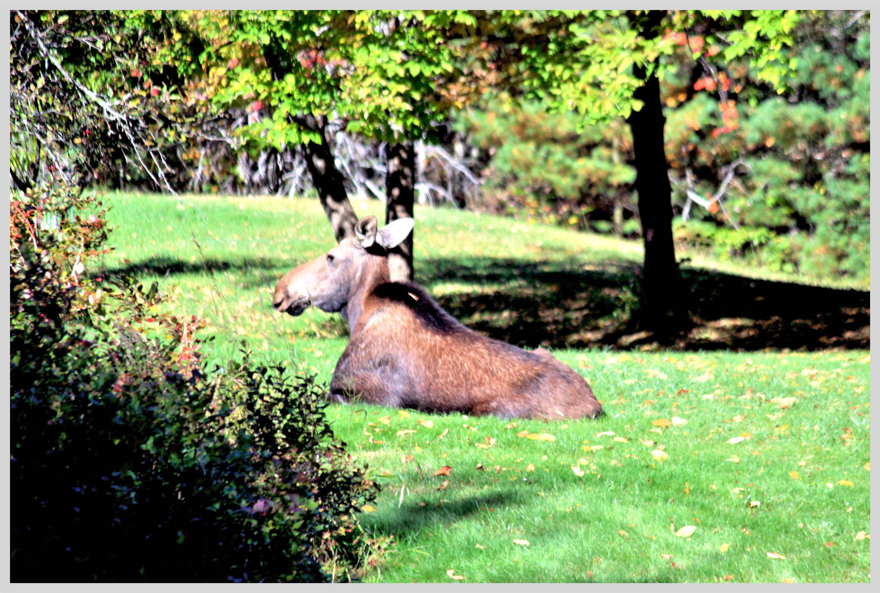 main property photo 59