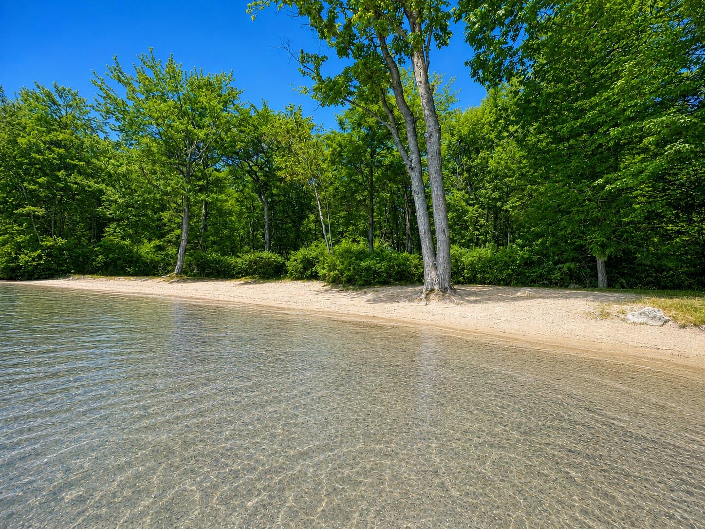 main property photo 57