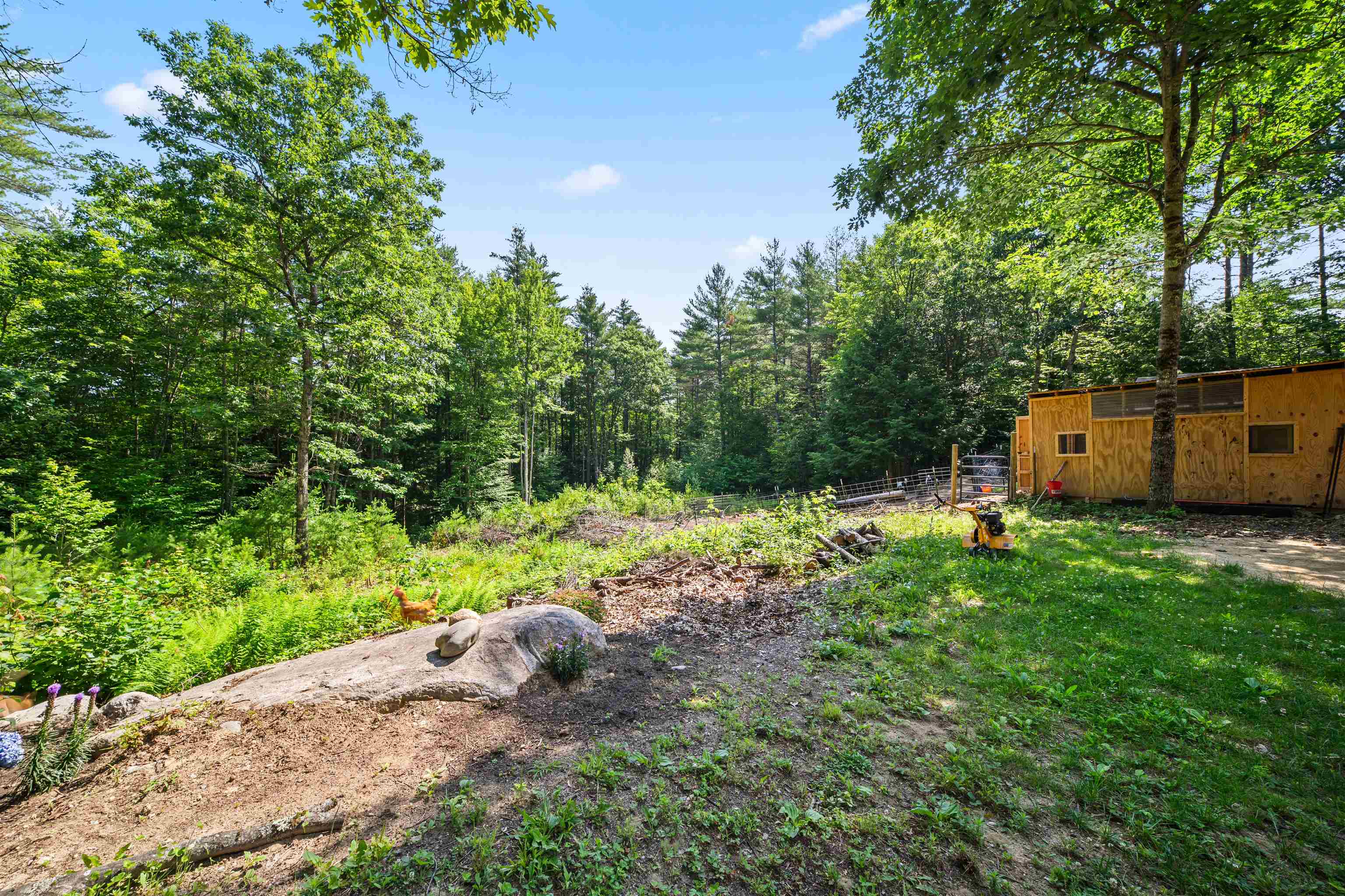 main property photo 35