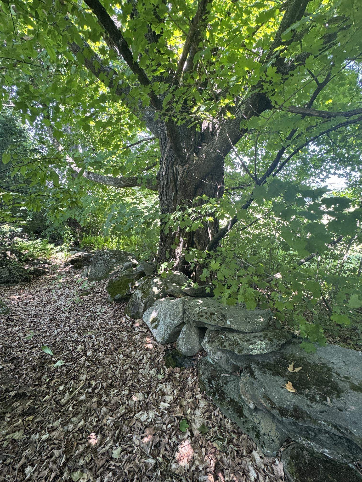 main property photo 55