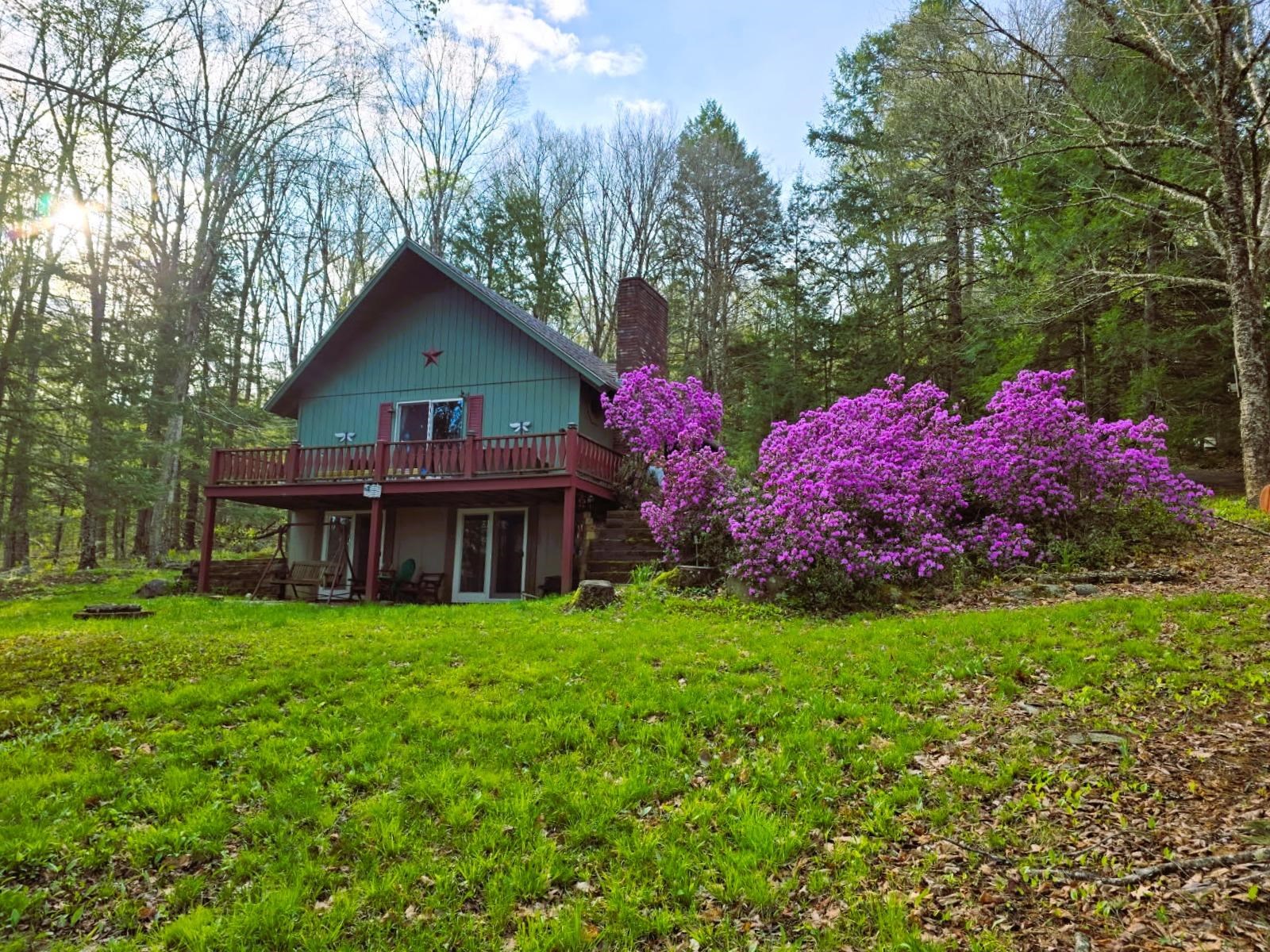 main property photo 45