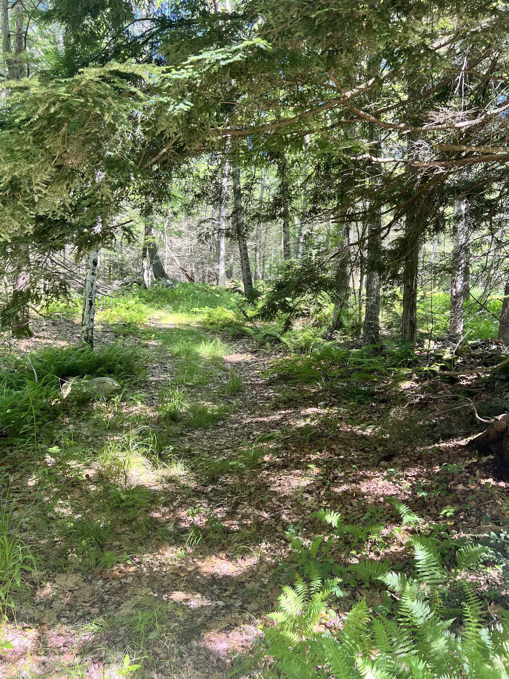 main property photo 10