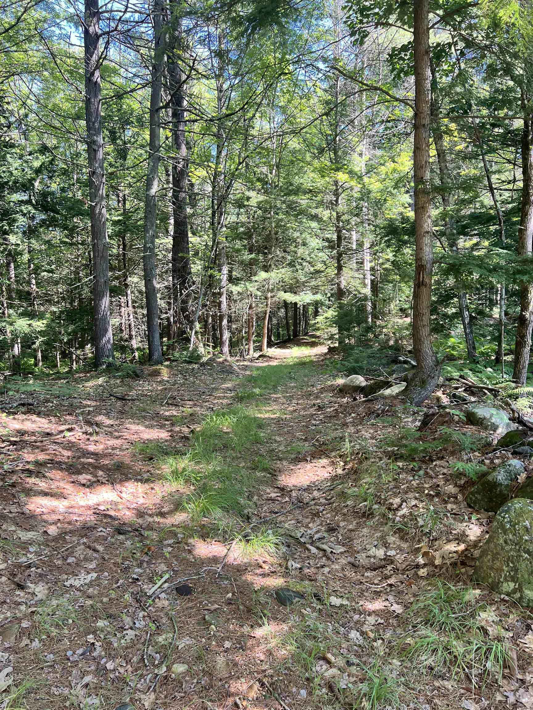 main property photo 12