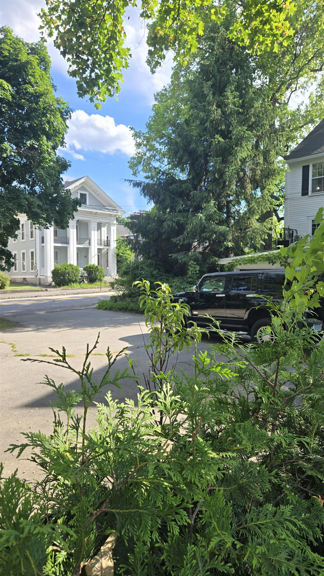 main property photo 14