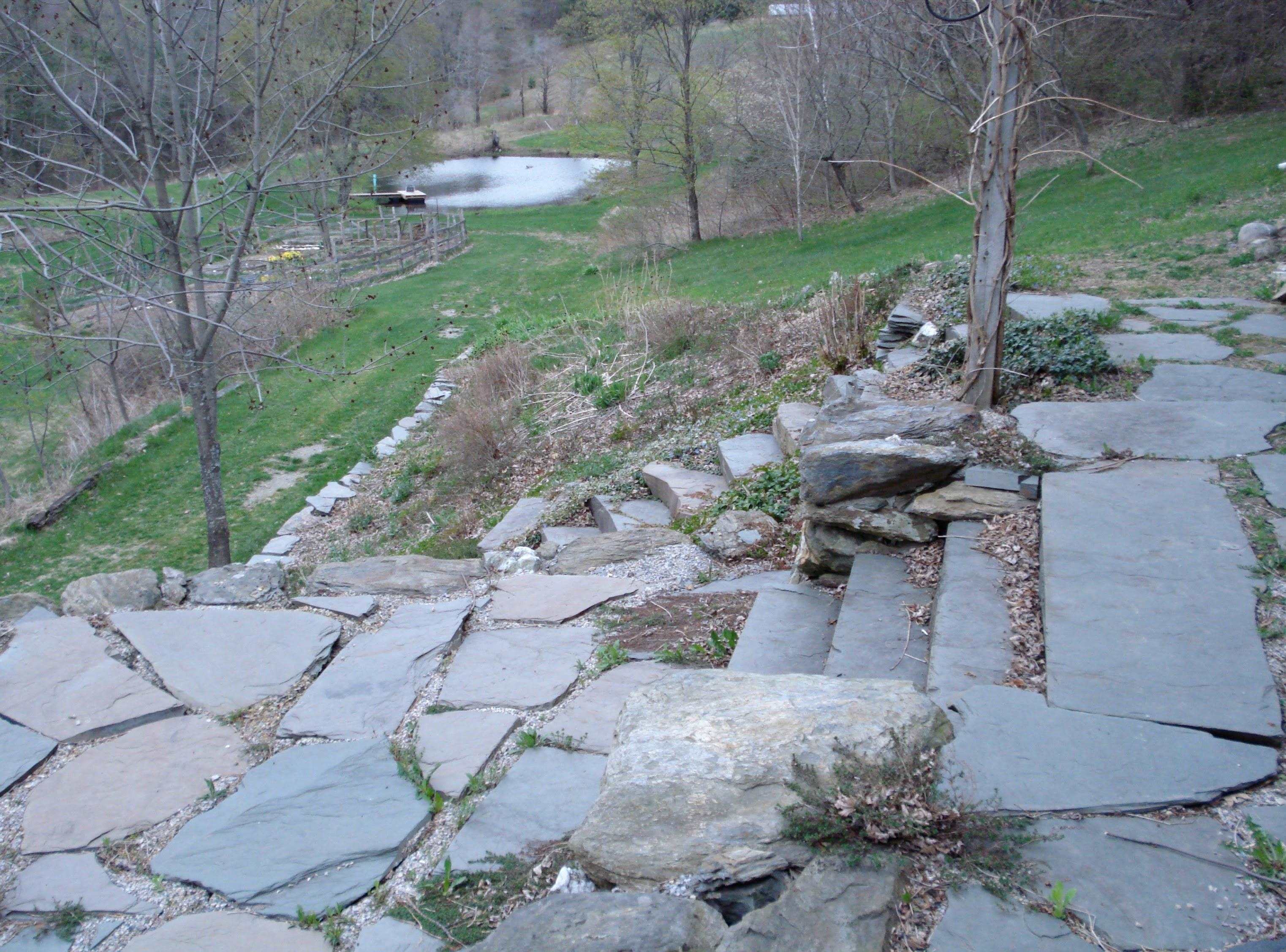 main property photo 25