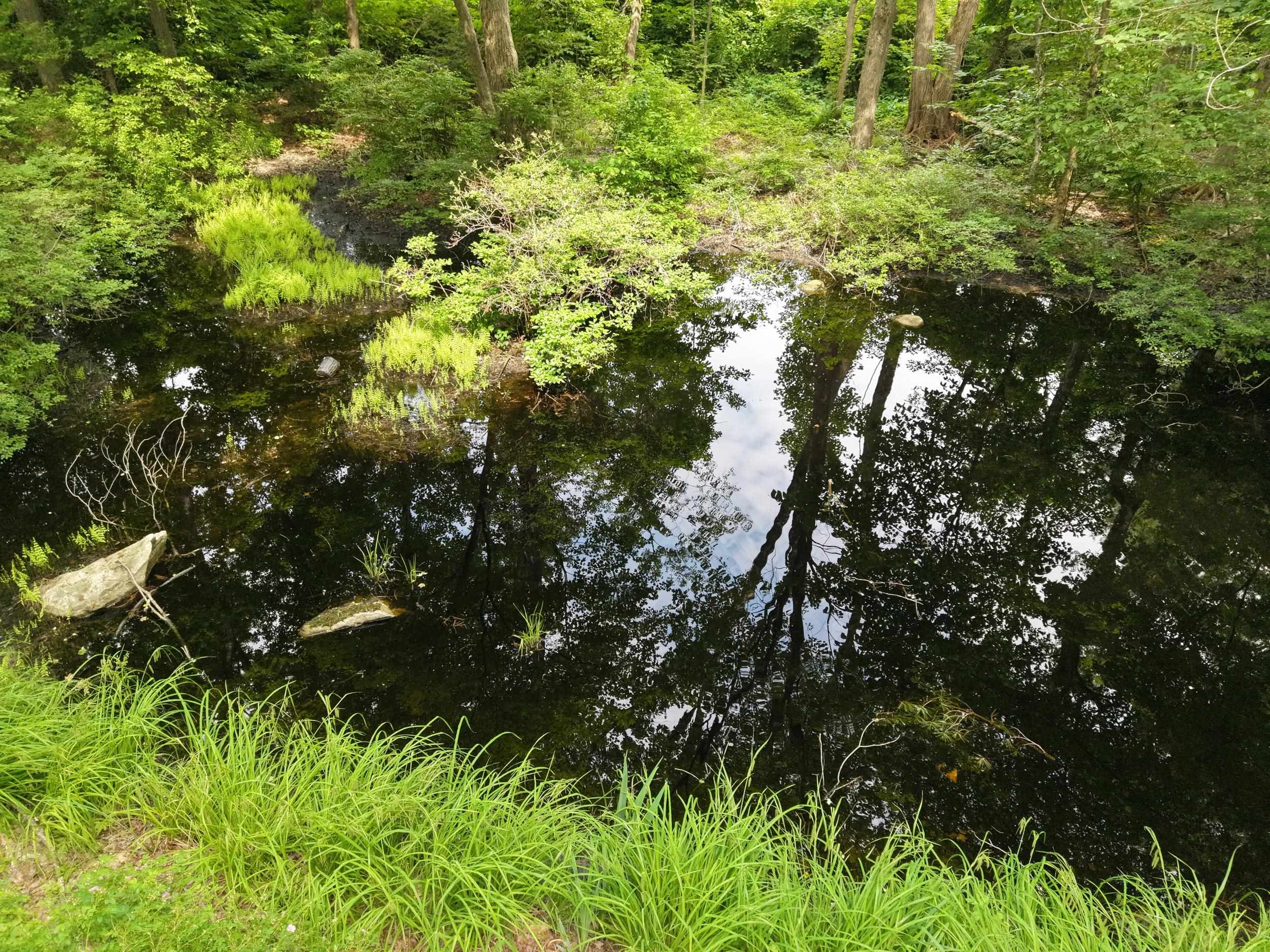 main property photo 44