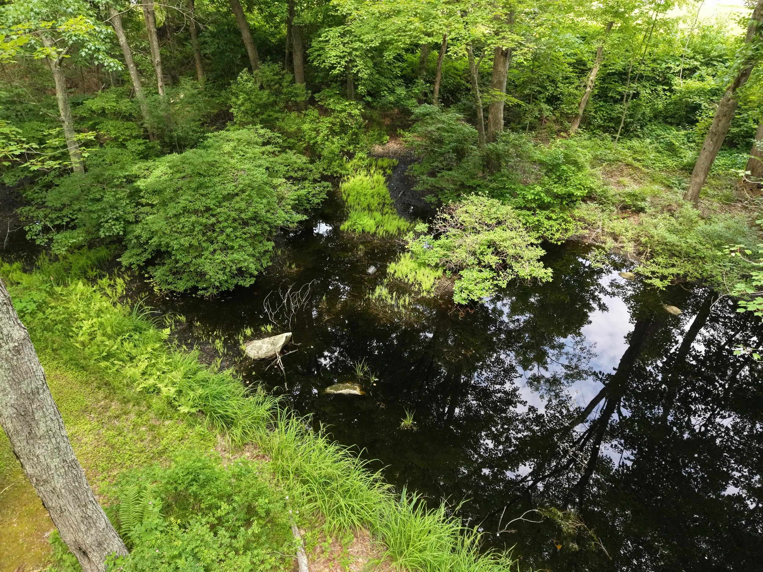 main property photo 46
