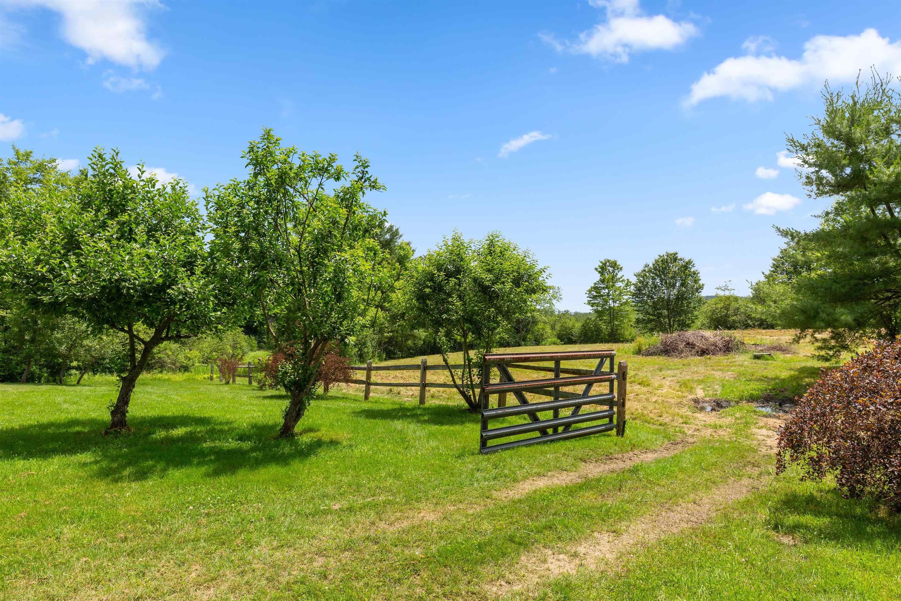 main property photo 56