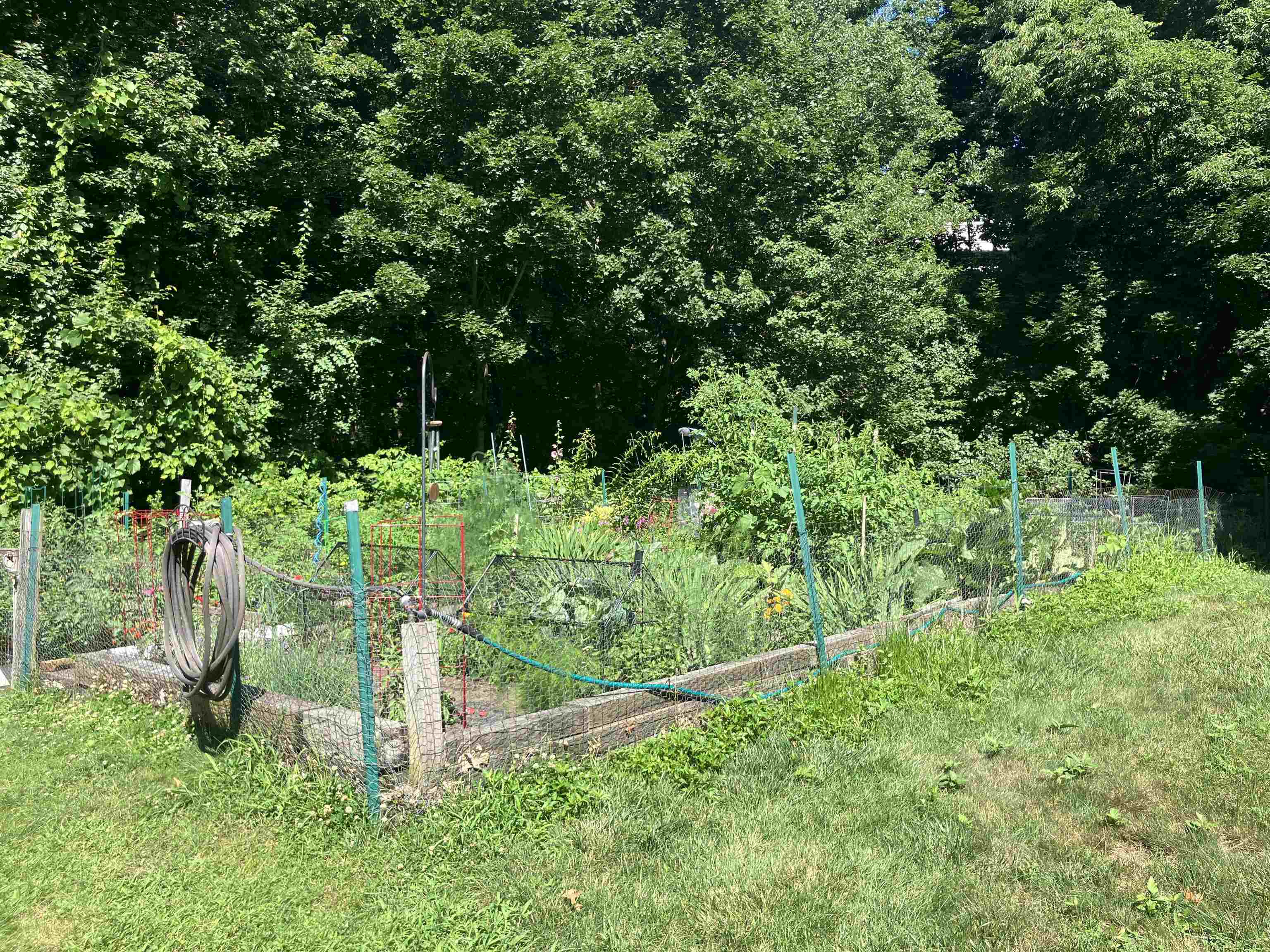 main property photo 55