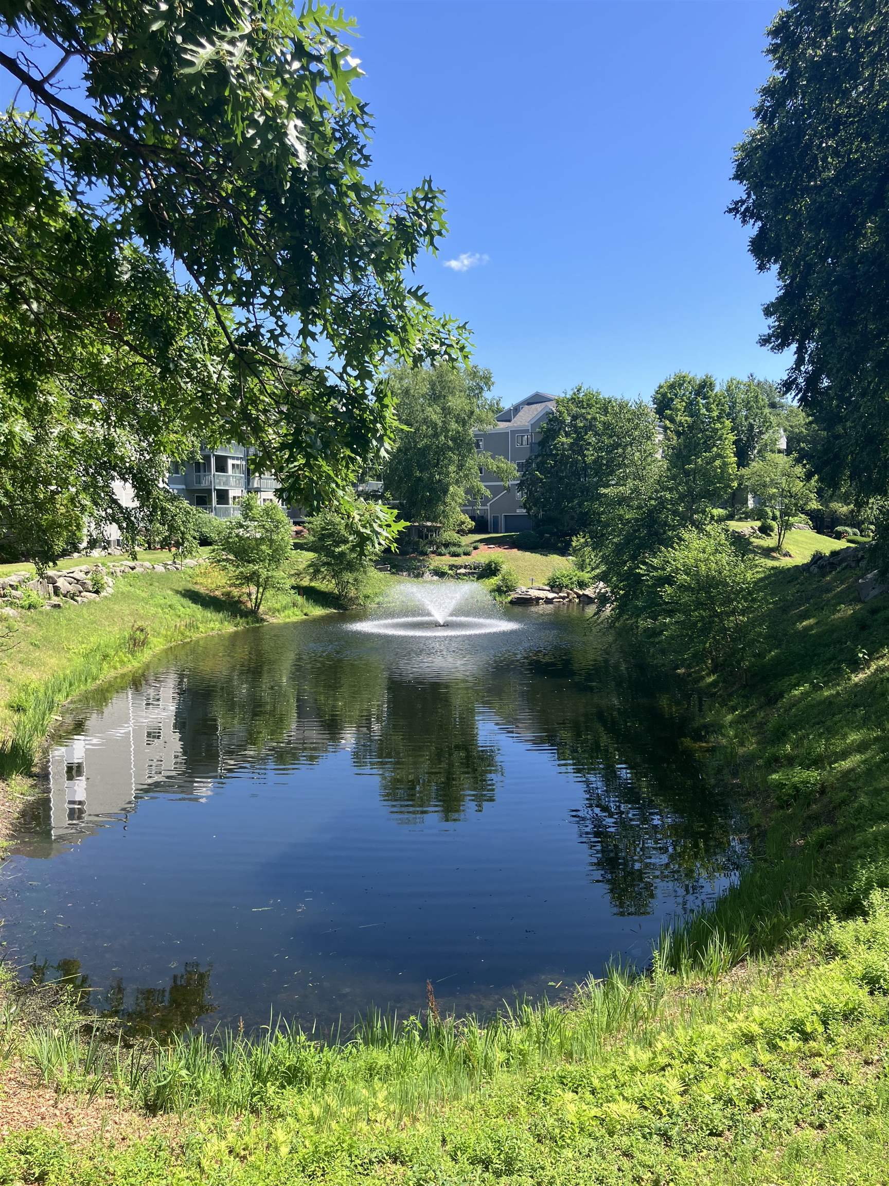 main property photo 56
