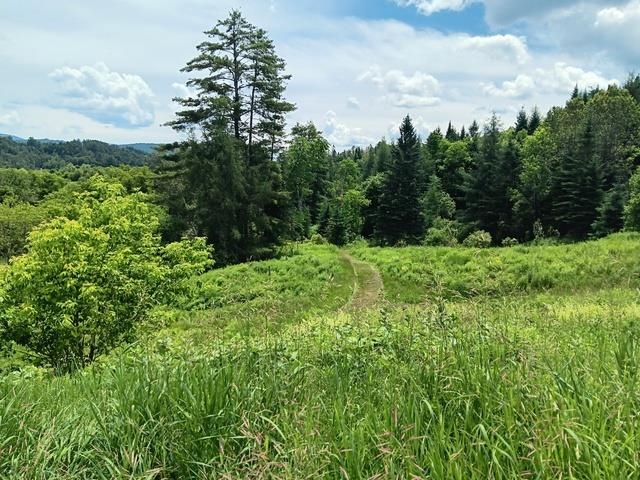 main property photo 13