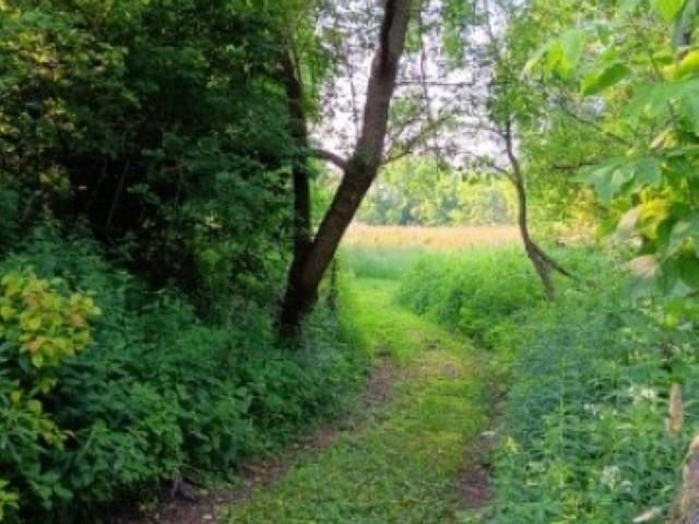 main property photo 37