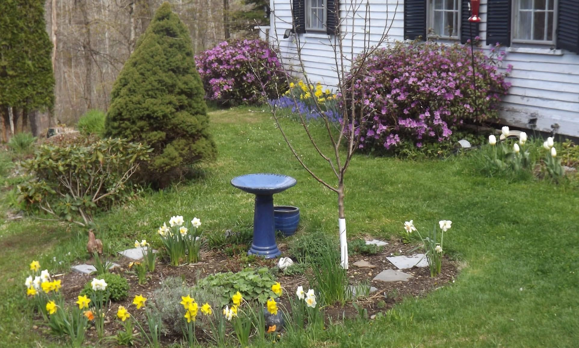 main property photo 6